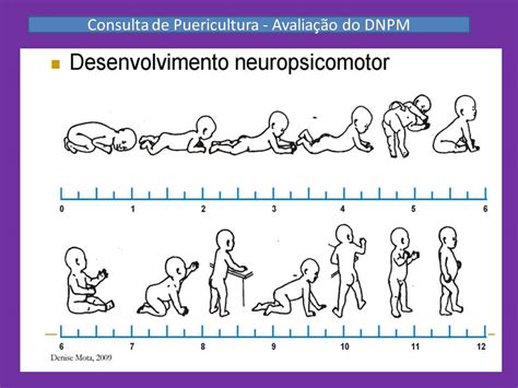 As Avaliações Podem Ser Executadas Em Várias Etapas Do Desenvolvimento