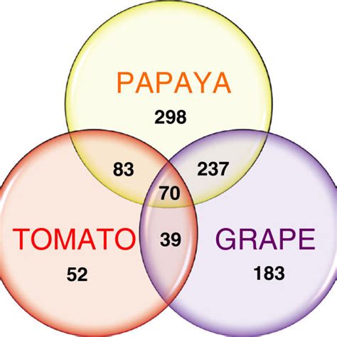Qpcr Validation Of Papaya Ripening Related Gene Expression Real Time