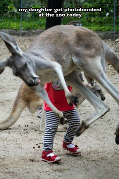 A Collection Of Sweet Silly And Funny Moments At The Zoo 21 Pics 4