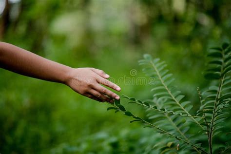 Hands And Nature Love Bright Love Have To Give Each Other Love A Stock