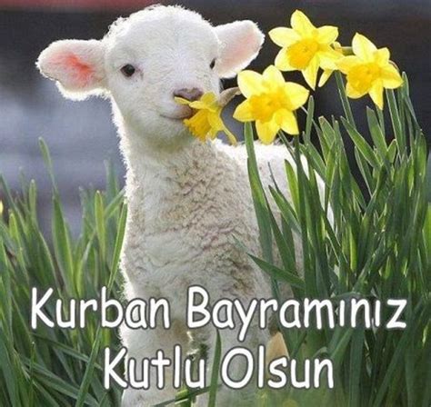 Kurban Bayram Mesajlar Sevdiklerinize K Sa Uzun Ve Resimli