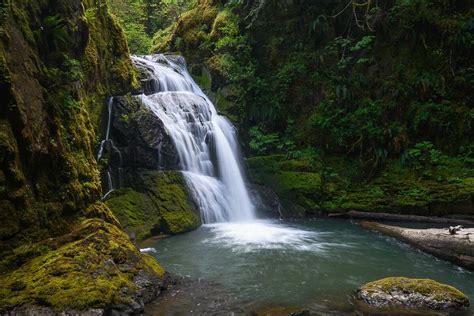 🌲 Wolf Creek Falls And Grotto Falls Hiking Waterfalls Near Roseburg