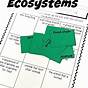 Ecosystems Worksheet Activity 5th Grade