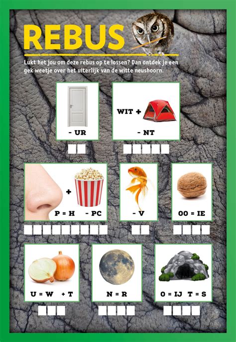 Puzzel Rebus National Geographic Junior