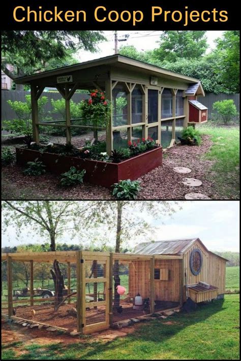 Building your own chicken coop is better than buying one ...