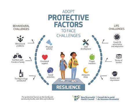Protective And Risk Factors Explained New Brunswick Health Council