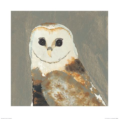 Julia Burns Barn Owl Art Print The Art Group