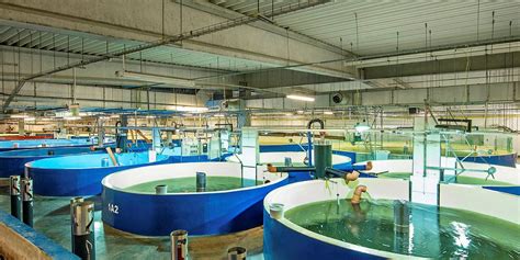 Russian Firm Signs Deal With Aquamaof For Countrys First Land Based