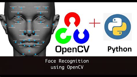 Face Recognition Code In Python Using Opencv With Source Code Hot Sex