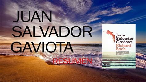 Me da alas y me hace joven. Resumen Del Libro Juan Salvador Gaviota Corto - Caja de Libro