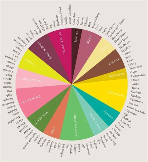 The Color Wheel Has Many Different Words In Each Section And It Is