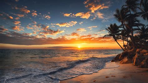 Ocean Waves Beach Sand Palm Trees Under Black White Clouds Blue Sky