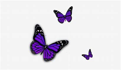 Butterfly Purple Clipart Pix Pngkey Transparent Clip