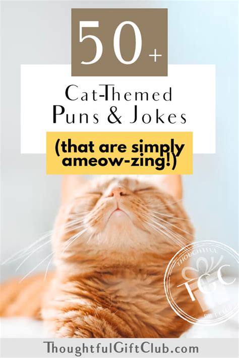Cat Puns Jokes For Instagram Captions That Are Ameowzing