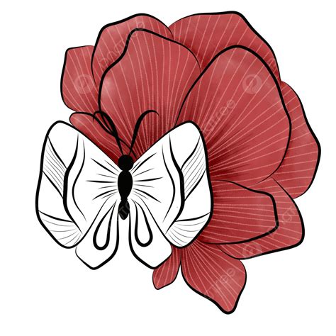 Butterfly Line Drawing White Transparent Elegant Red Flower Blossom
