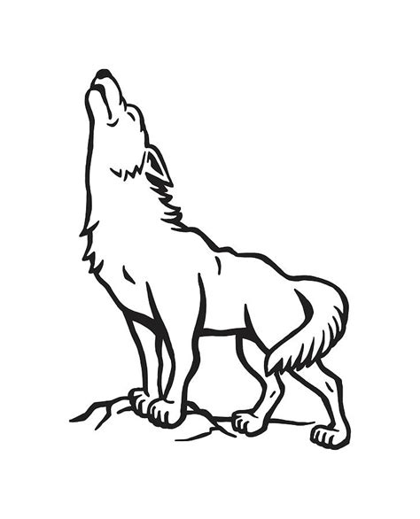 Wolf Howling Drawing By Csa Images Pixels
