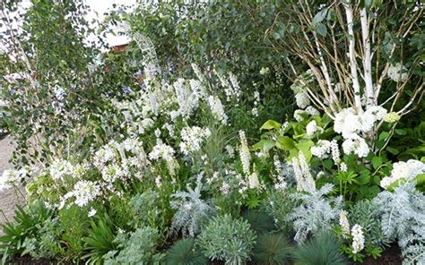 Marvelous 25 Awesome White Garden Ideas With White Flower Collection