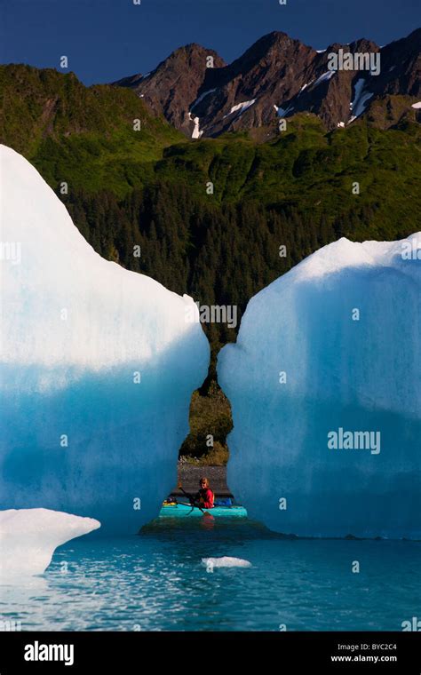 Kayaking In Bear Lagoon Kenai Fjords National Park Near Seward