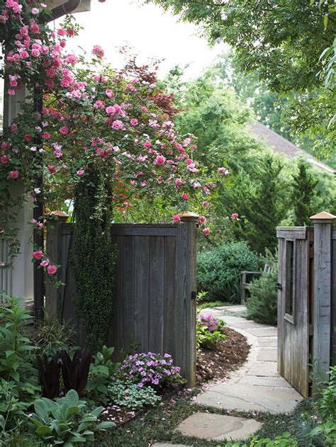 Create Privacy In Your Yard