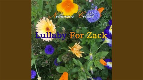 Lullaby For Zack Youtube