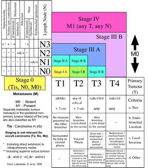 Tnm Staging Of Lung Cancer From Lababede O Et Al 1999 Download