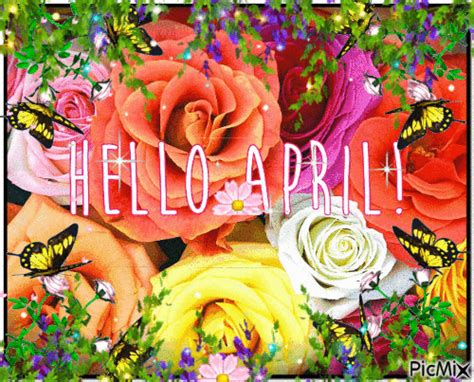 Beautiful Rose And Butterflies Hello April Pictures Photos And Images