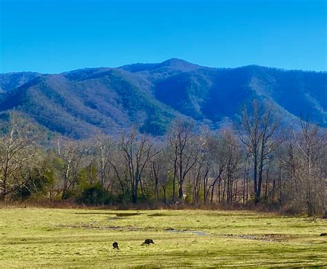Photo Essay Cades Cove In Winter Great Smoky Mountains National Park