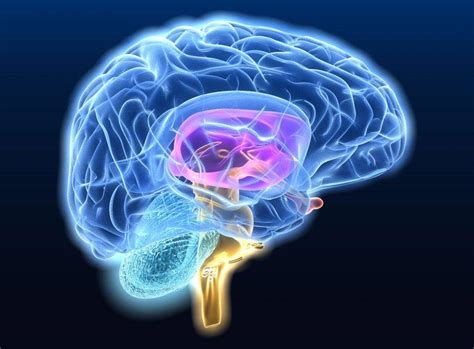 Artificial Intelligence Detects the Neurodegenerative Diseases