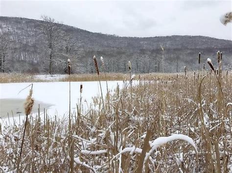 Join A Field Trip To The Wallkill River Wildlife Refuge