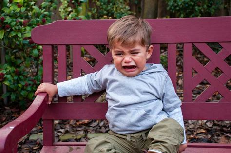 When you're out and about with your child, have a healthy snack available at all times. The 3 Main Differences Between a Sensory Meltdown and a ...