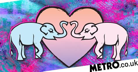 try elephant sex position to get close and have intense orgasms metro news