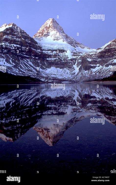 Mt Assiniboine Reflected In Lake Magog At Twilight Mount Assiniboine