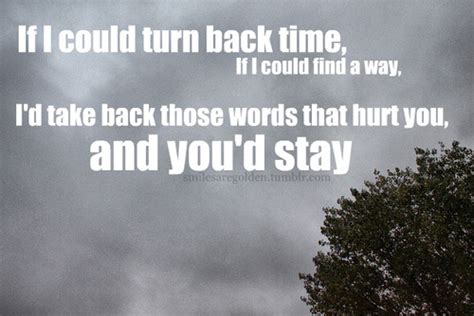 If I Could Turn Back Time Quotes Quotesgram