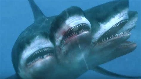 11 Rarest Species Of Shark That Hide In The Ocean Youtube