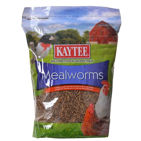 4.6 out of 5 stars: Kaytee Mealworms Wild Bird Food