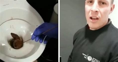 Disgusting Video Viewed By Millions Of Man Battling Enormous Poo In Toilet May Have Been Shot In