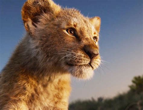 O Rei Leão Disney Divulga Trailer Completo Da Versão Live Action