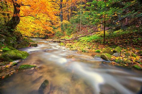 autumn-stream-null