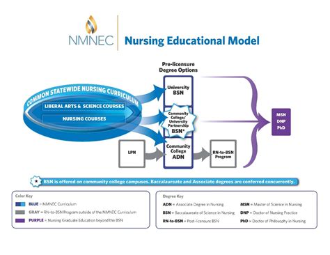 Curriculum Nmnec