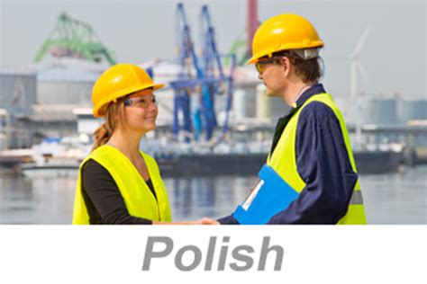 Puresafety On Demand Giving And Receiving Feedback Polish