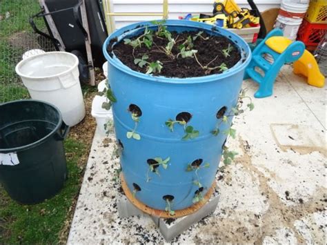 40 Simple But Beautiful Bucket Gardening Ideas Carenthusias Barrel