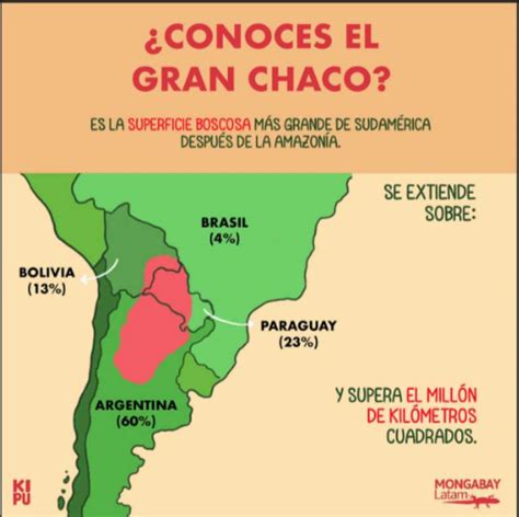 ¿qué Es El Gran Chaco Americano Y Por Qué Está En Peligro Historia