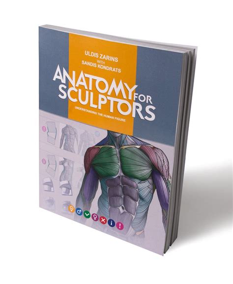 Anatomy For Sculptors Understanding The Human Figure Paperback