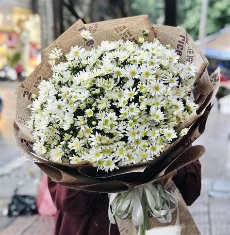 Bó Hoa Cúc Họa Mi Đẹp Nhất Hanoi Florist Vn