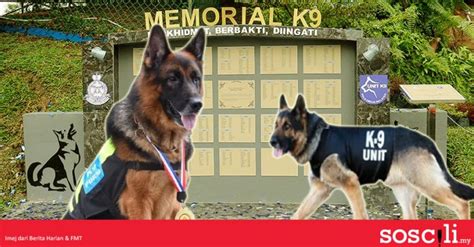 Unit K9 Anjing Pengesan Pdrm Yang Mengesan Apa Yang Manusia Tak Mampu