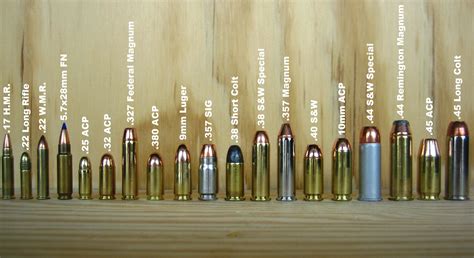 Shot Sizes In Shotgun Shells The Guns And Gear Store