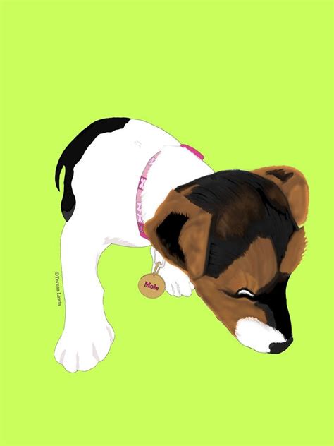 Pin By Jeannie On Love Jacks Jack Russell Poster Art