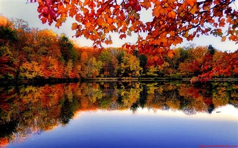 Autumn Riverside River Reflection Trees Autumn Nature Forest Hd