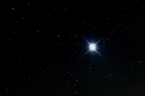 What Is So Special About Sirius The Dog Star Nexus Newsfeed