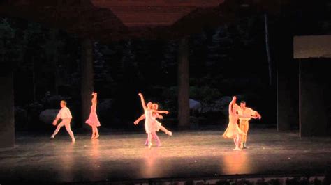 New York City Ballet Moves Dances At A Gathering Youtube